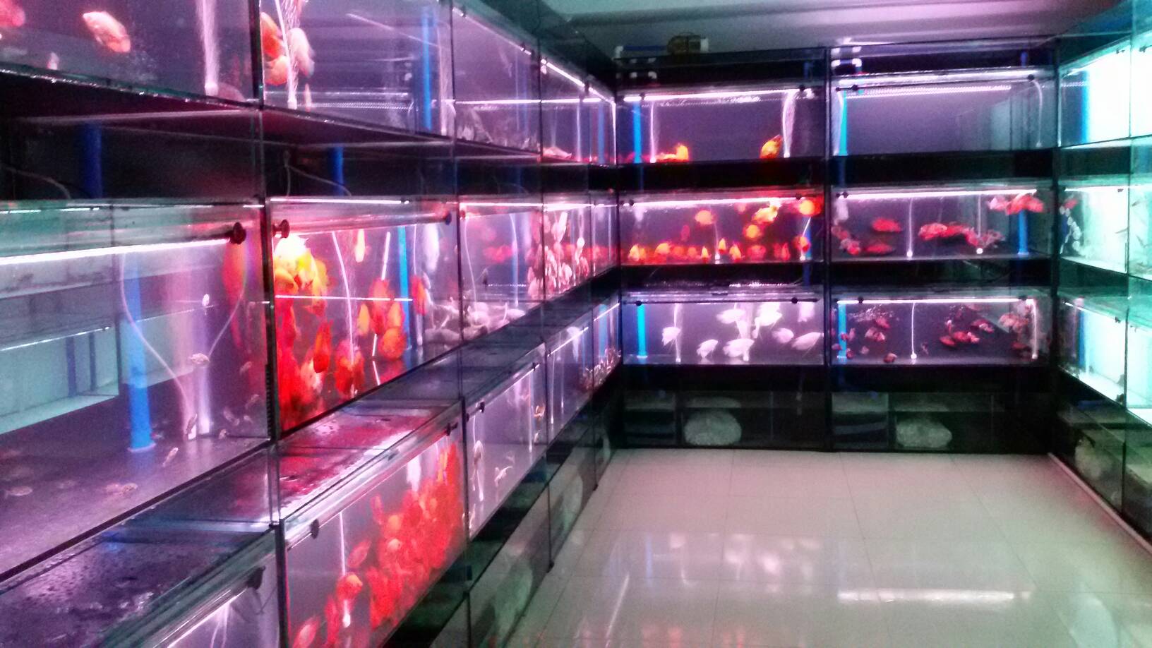 海鲜池_海鲜池的过滤系统_建海鲜池(3)