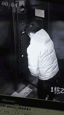 216_384 gif 动态图 动图