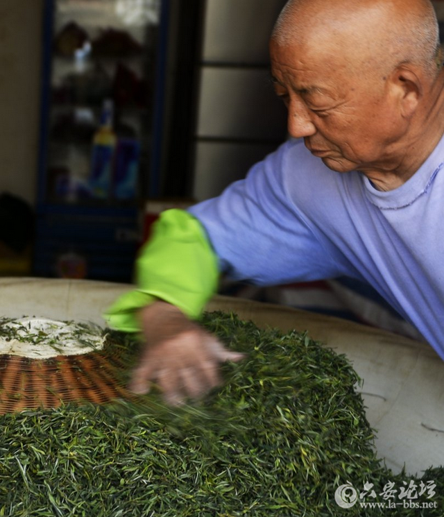 博e百娱乐场会员入口:裕安区独山镇:老茶农50载茶香人生,当年在公社烘