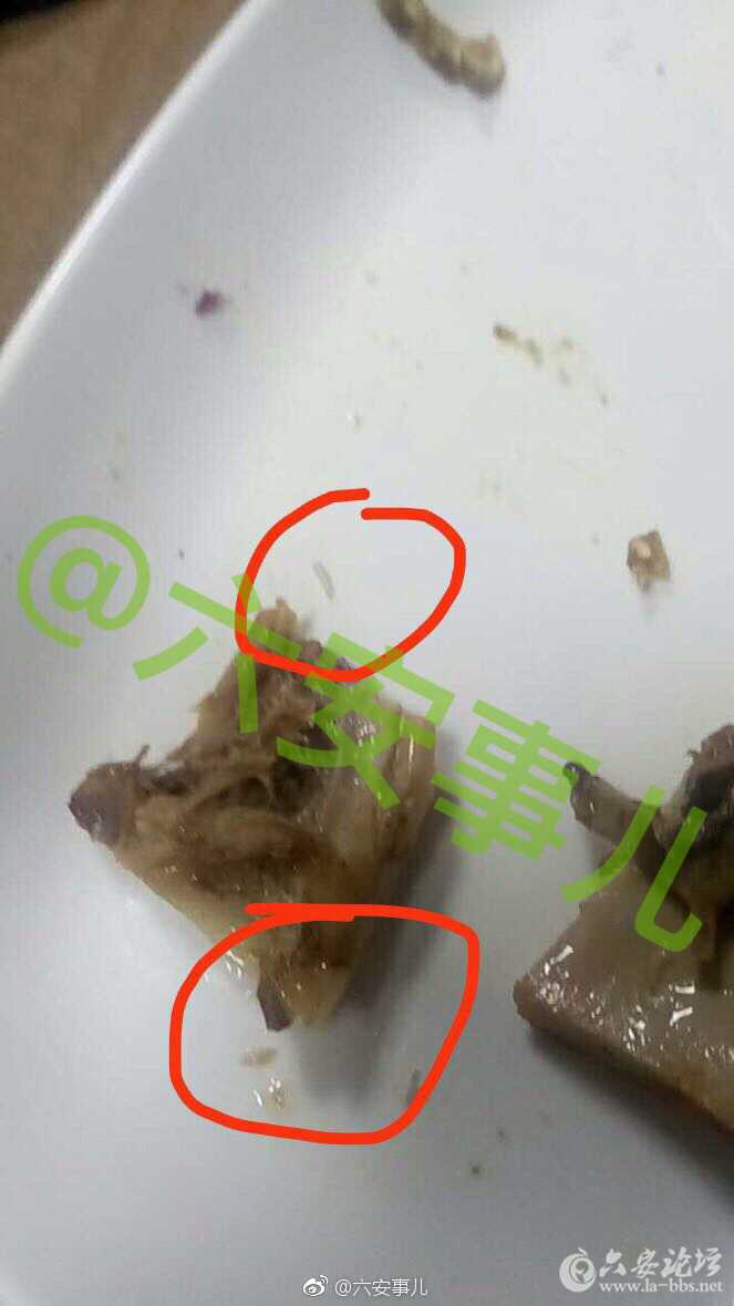 网爆六安万达某餐厅卫生堪忧,顾客就餐竟然吃到多条蛆